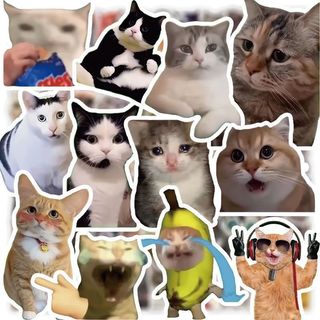 （分類：）位於 。 由 john_winston 提交（商品編號 1376795138，圖片 1）。簡介： 。