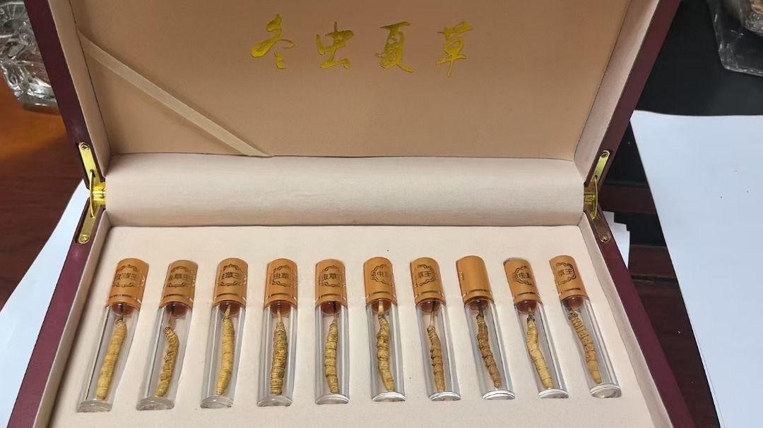 Cordyceps Premium/Grade A Tibet Wild Cordyceps Sinensis 冬虫夏草 (Category: Vitamins & Supplements) located in Singapore. Submitted by yjxxy000 (Listing ID 1376651387, Image 2). Description: 1 pieces of Cordyceps Sinensis, individually packaged in glass tubes Each Cordyceps features a distinct segmented body and a dark stalk. .