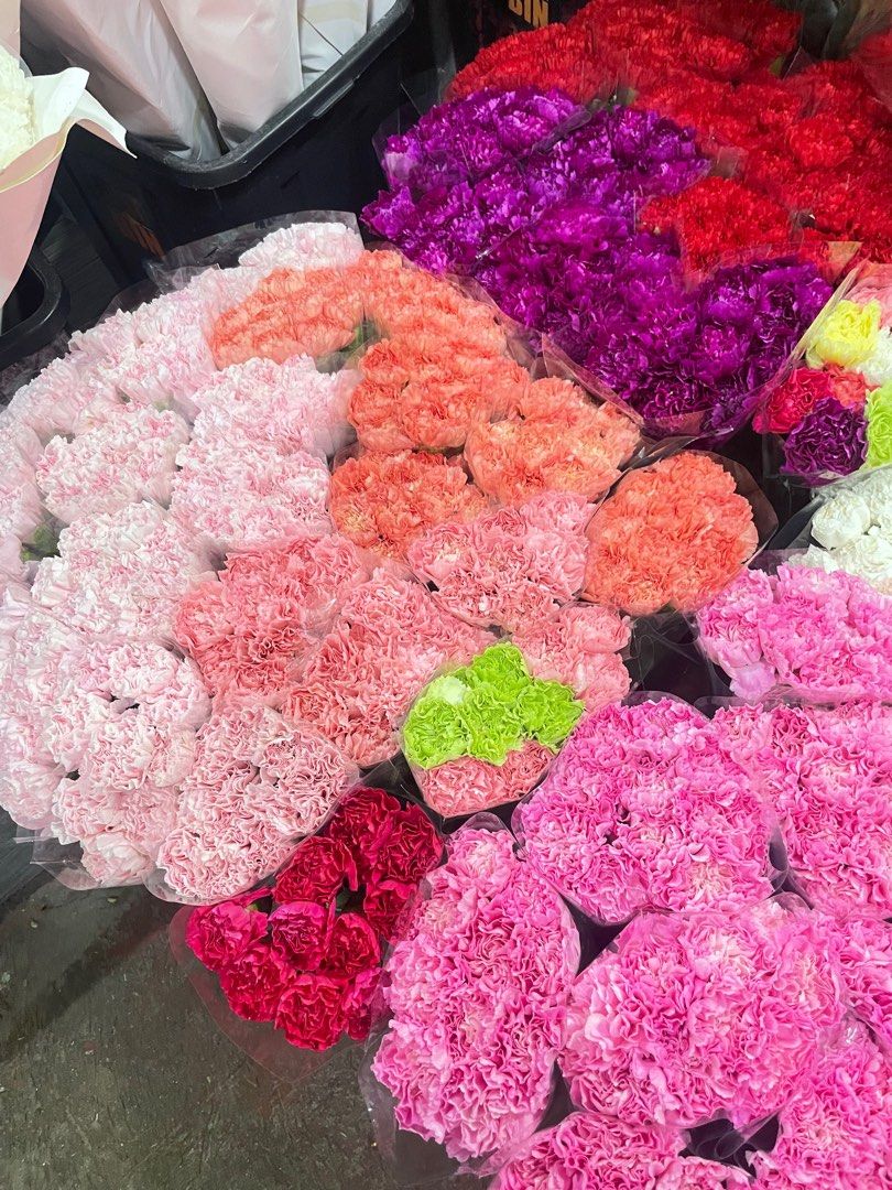 Fresh Carnations Bundle (10pcs) (Category: Flowers & Bouquets) located in Pasig City. Submitted by aefs_ (Listing ID 1376721570, Image 2). Description: Fresh Carnations per bundle (10pcs) - ₱350 colors available: light pink, pink, dark pink, peach, yellow, orange, red, purple, white, green, white with purple lining, white with pink lining, white with red lining, mixed — refer to the photos 🖇️ Flower Bouquet Arrangements also available! 🖇️ We ca
