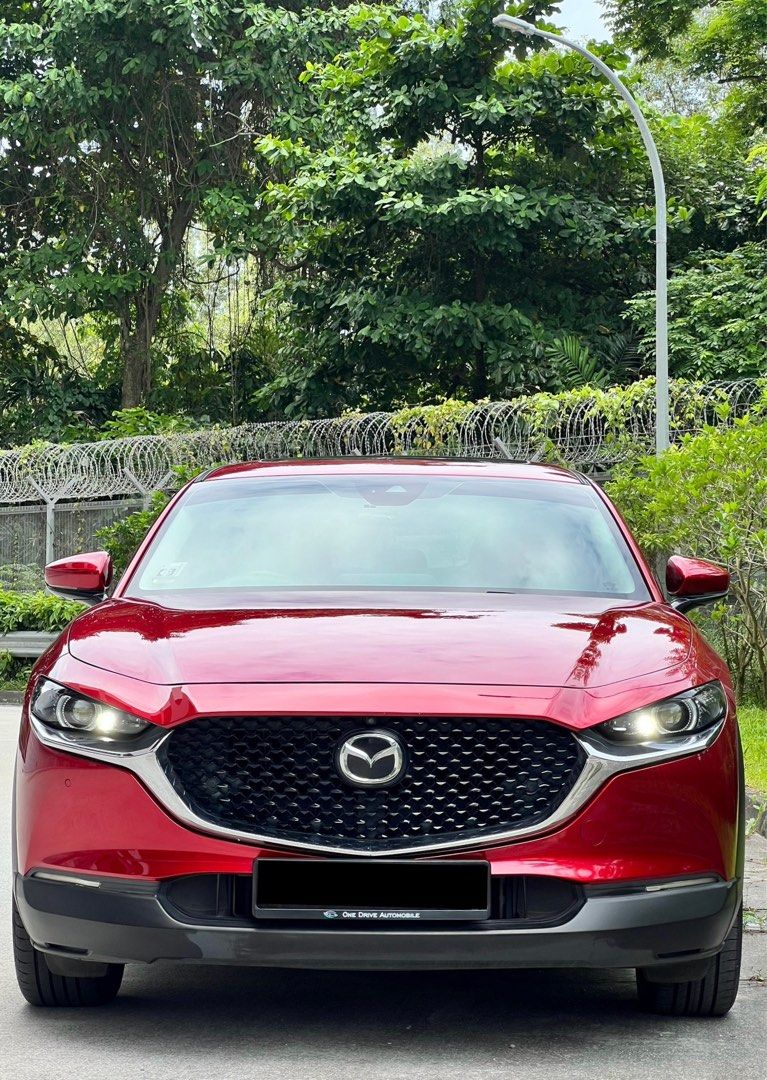 Mazda CX-30 2.0 Luxury (A)62886406126593111