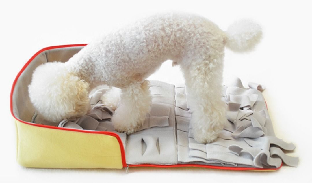 [Pre-loved] Studio Ollie Snuffle Box (Category: Homes & Other Pet Accessories) located in Singapore. Submitted by thekarangguni (Listing ID 1376655148, Image 2). Description: Condition: Pre-loved .