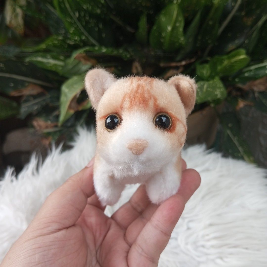REAL ANIMAL Plush REALISTIC Cat Mini Plush Charm (Category: Plushies & Soft Toys) located in Cainta. Submitted by japananikanik (Listing ID 1376773605, Image 1). Description: - Preloved - 4 Inches - From Japan - NO FLAWS - Item on Hand ready for shipping - Great for gift/collection Prices are for the Item only SHIPPING FEE NOT INCLUDED legit seller 😊 For more inquiries kindly Pm us ☺️ FIRST TO PAY NO RESERVATION LALAMOVE pick up by SCHEDULE.