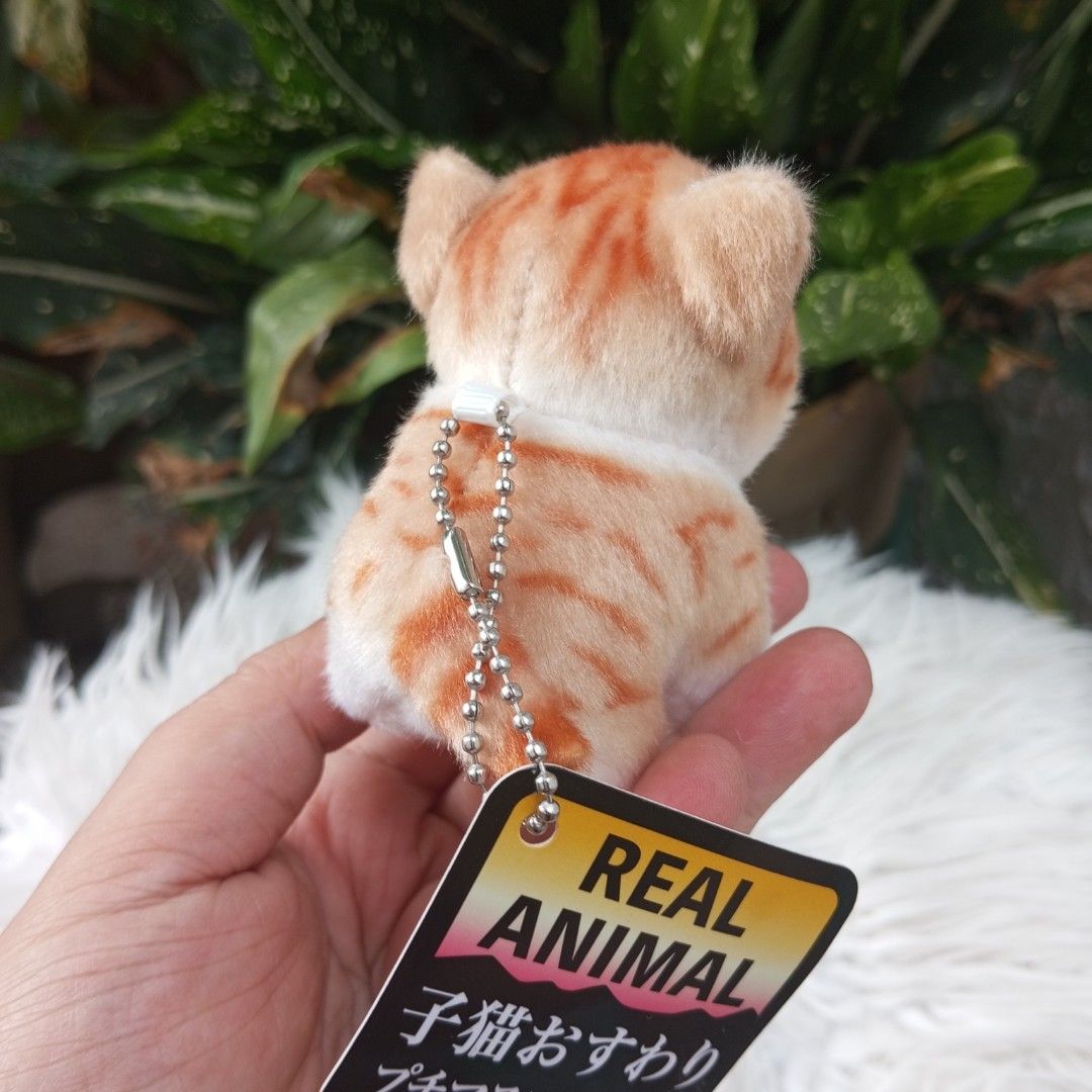 REAL ANIMAL Plush REALISTIC Cat Mini Plush Charm (Category: Plushies & Soft Toys) located in Cainta. Submitted by japananikanik (Listing ID 1376773605, Image 3). Description: - Preloved - 4 Inches - From Japan - NO FLAWS - Item on Hand ready for shipping - Great for gift/collection Prices are for the Item only SHIPPING FEE NOT INCLUDED legit seller 😊 For more inquiries kindly Pm us ☺️ FIRST TO PAY NO RESERVATION LALAMOVE pick up by SCHEDULE.