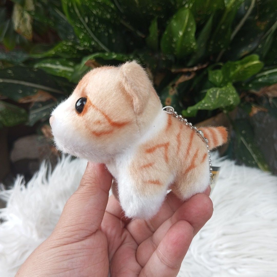 REAL ANIMAL Plush REALISTIC Cat Mini Plush Charm (Category: Plushies & Soft Toys) located in Cainta. Submitted by japananikanik (Listing ID 1376773605, Image 2). Description: - Preloved - 4 Inches - From Japan - NO FLAWS - Item on Hand ready for shipping - Great for gift/collection Prices are for the Item only SHIPPING FEE NOT INCLUDED legit seller 😊 For more inquiries kindly Pm us ☺️ FIRST TO PAY NO RESERVATION LALAMOVE pick up by SCHEDULE.