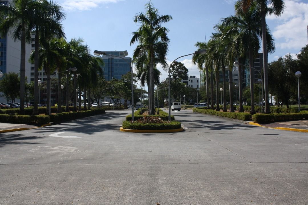 992 sqm Prime Residential Lot in Ayala Alabang Village near Enclave ...
