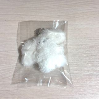 由 jjssiy (刊登 ID 1376975076，圖片 1) 提交，位於 的 (類別：)，說明：。