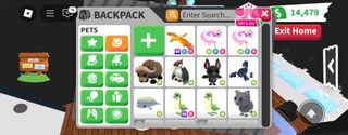 (Category: ) located in . Submitted by mydreampet_neon (Listing ID 1377005619, Image 1). Description: .