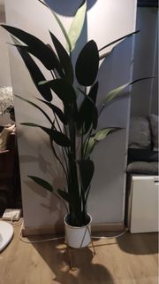 (Category: ) located in . Submitted by l.o. (Listing ID 1376971964, Image 1). Description: .