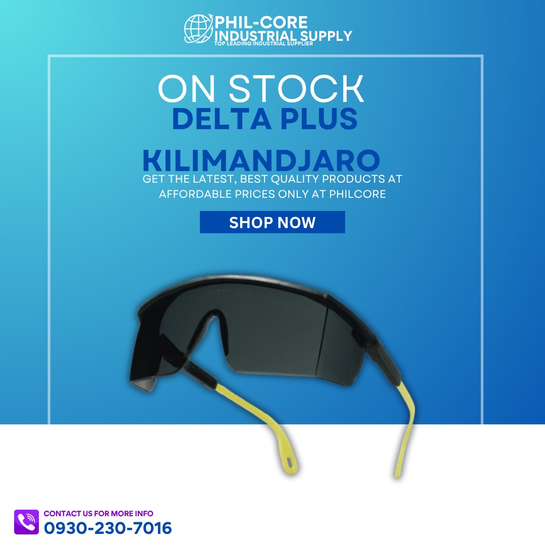 Delta Plus Kilimandjaro, Face shield goggles, Impact-resistant goggles ...