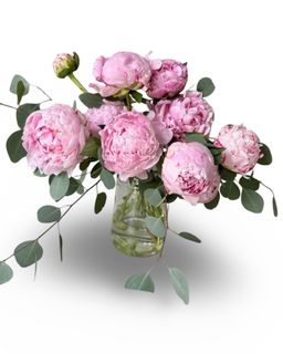(Category: ) located in . Submitted by flowerplusco (Listing ID 1376911844, Image 1). Description: .
