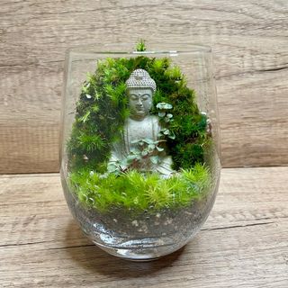 (Category: ) located in . Submitted by lushglassdoor (Listing ID 1376931689, Image 1). Description: .