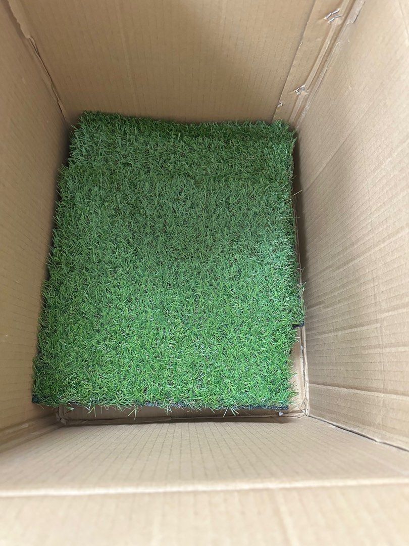 Artificial Grass