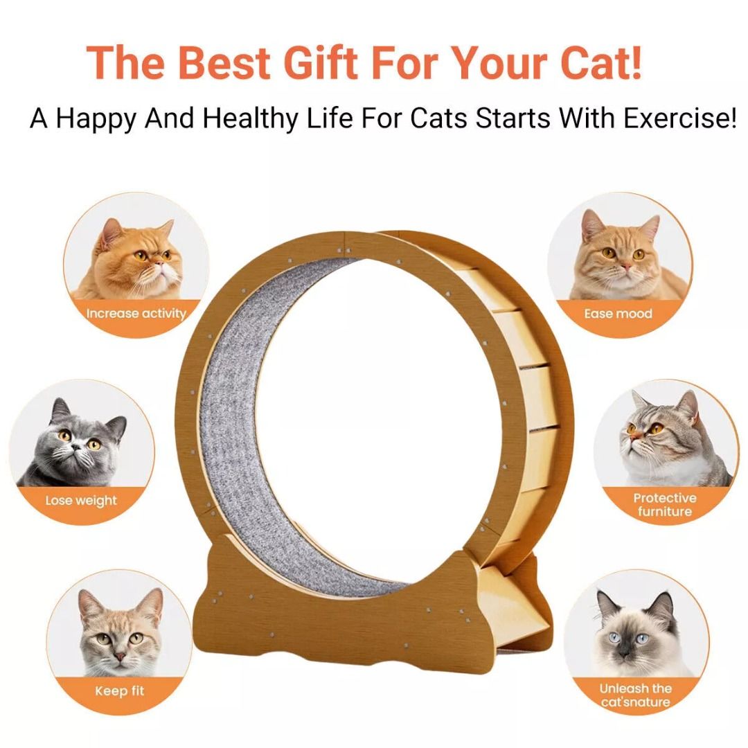 ✅Cat Exercise Wheel Toy Furniture Running Treadmill Exerciser Scratcher Board AU (Category: Pet Toys) located in Dandenong. Submitted by livefox_f92570 (Listing ID 1377017132, Image 3). Description: Description The Advanced Cat Treadmill offers an engaging and safe way for your cat to stay active indoors. Crafted from high-quality wood with a smooth, silent roller, this cat fitness wheel ensures a noise-free experience. Its spacious design accomm