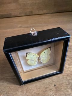 (Category: ) located in . Submitted by mglgcollections (Listing ID 1377101049, Image 1). Description: .