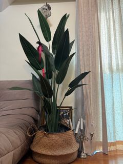 (Category: ) located in . Submitted by mmmkko (Listing ID 1377087488, Image 1). Description: .