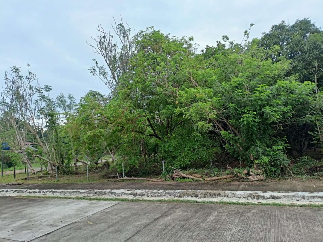 (Category: ) located in . Submitted by thefmgroup.ph (Listing ID 1377075477, Image 1). Description: .