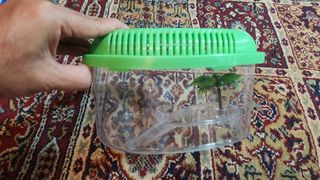 (Category: ) located in . Submitted by favounir (Listing ID 1377155590, Image 1). Description: .