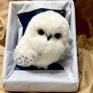 （分類：）位於 。 由 van_hk 提交（商品編號 1377313203，圖片 1）。簡介： 。