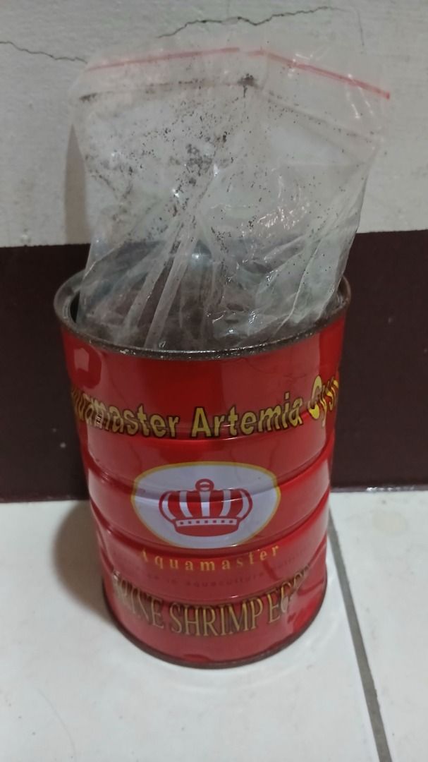 由 chengenter59190 (刊登 ID 1377240620，圖片 1) 提交，位於 新北市 (New Taipei) 的 精品豐年蝦卵 精品大紅卵 高品質 AAA 3A等級 約95%孵化率 孵化率高 低沉卵 (類別：寵物及其他)，說明：當初買的是425g，因之前有用了一些所以只剩370g左右 ●使用方式: 1.一公升水對25-30公克的鹽。 2.一公升孵化蝦卵，勿放超過4公克可能會降低孵化率。 3.搭配本賣場販賣之粗鹽為佳。 ●孵化注意事項: 1.溫度一定不能超過30度，26-28度之間為最佳。 2.孵化時不能關閉打氣機，需要連續打氣24-30小時。 3.夏天氣溫高，收到蝦卵後先冷凍24小時後再使用，孵化率會更高。 4.豐年蝦孵化較為繁瑣，可以一次多孵化一點，放置於冰箱冷凍庫保存，使用前化開即可。 5.收蝦前關閉打氣機5分鐘，讓卵殼上浮讓您收蝦更輕鬆。 6.夏天溫度炎熱，蝦卵孵化率會較冬天進貨的卵差一些。 👇 ʕ•ᴥ•ʔ👇 ʕ•ᴥ•ʔ👇 ʕ•ᴥ•ʔ👇 ʕ•ᴥ•ʔ👇 