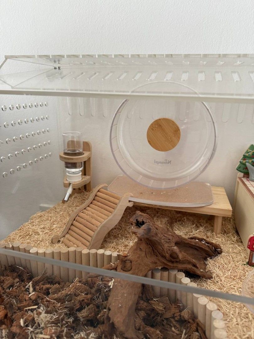 Acrylic Hamster Cage with Accessories (Category: Homes & Other Pet Accessories) located in Singapore. Submitted by acidic.child (Listing ID 1377309712, Image 3). Description: - the burrow acrylic cage 80cm x 40cm x 41cm - wood platform 12cm x 25cm x 12cm - bendy bridge L 52cm x 7.5cm - niteangle wavy bridge S 10.6cm x 16cm - niteangle water bottle holder - niteangle acrylic corner toilet - niteangle running wheel 21cm - hedgehog planet white sauc