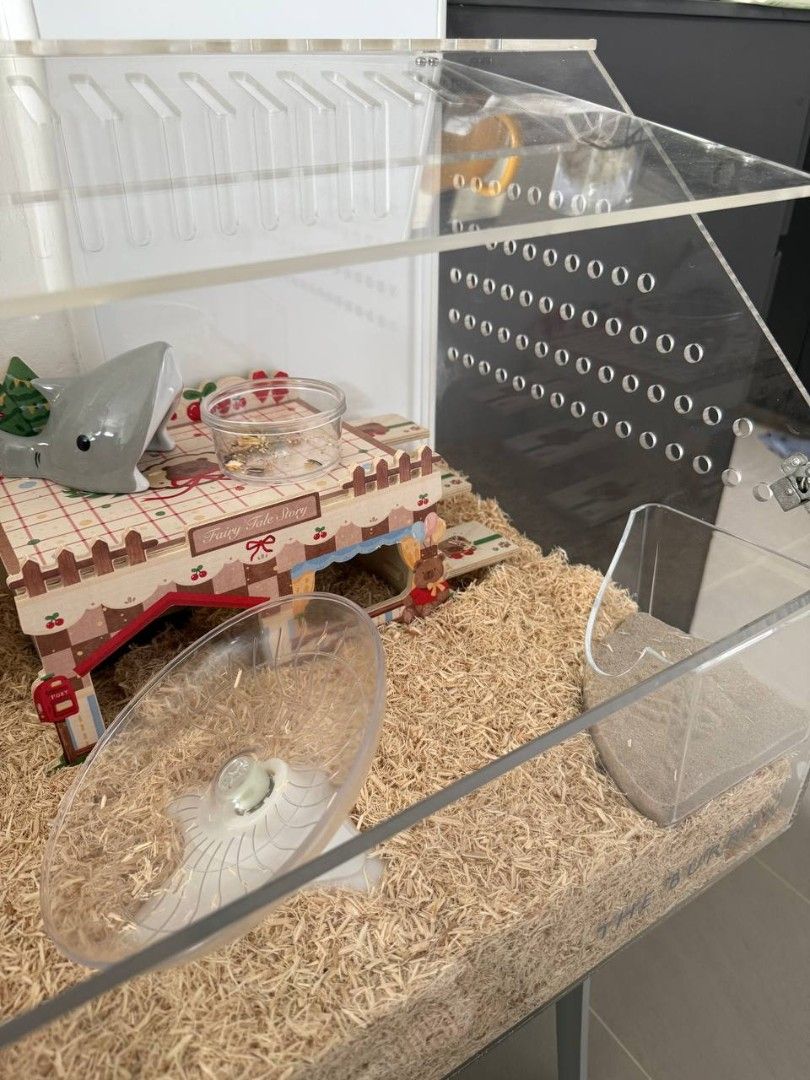 Acrylic Hamster Cage with Accessories (Category: Homes & Other Pet Accessories) located in Singapore. Submitted by acidic.child (Listing ID 1377309712, Image 2). Description: - the burrow acrylic cage 80cm x 40cm x 41cm - wood platform 12cm x 25cm x 12cm - bendy bridge L 52cm x 7.5cm - niteangle wavy bridge S 10.6cm x 16cm - niteangle water bottle holder - niteangle acrylic corner toilet - niteangle running wheel 21cm - hedgehog planet white sauc