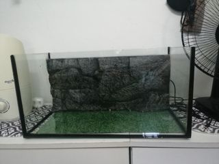(Category: ) located in . Submitted by ariariba (Listing ID 1377248259, Image 1). Description: .