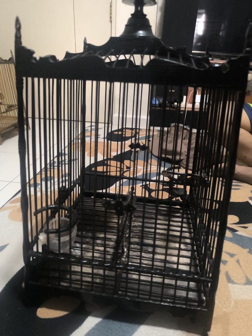 Black Wooden Bird Cage with Cover (Category: Homes & Other Pet Accessories) located in Singapore. Submitted by xxdejavoooxx (Listing ID 1377198080, Image 3). Description: - Elegant black wooden bird cage - Perfect for small birds - Includes decorative hook - Comes with matching cover - Good condition, ready to use for jambul or magpie bird can nego till let go thailand cage.