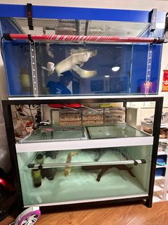 (Category: ) located in . Submitted by asquaretackle (Listing ID 1377314927, Image 1). Description: .
