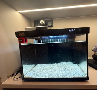 (Category: ) located in . Submitted by tjchong (Listing ID 1377246088, Image 1). Description: .