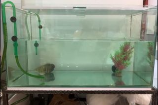 (Category: ) located in . Submitted by skyken881301197 (Listing ID 1377367351, Image 1). Description: .