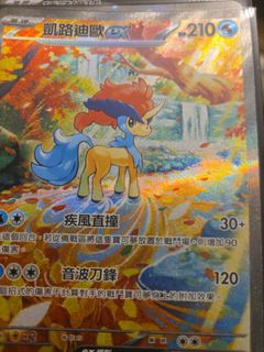 （分類：）位於 。 由 mkashley618 提交（商品編號 1377327150，圖片 1）。簡介： 。