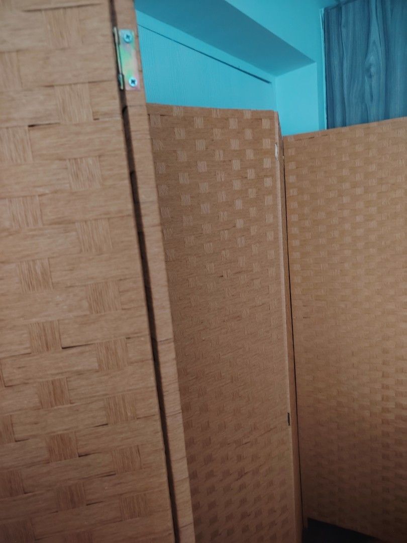 5  Panel Woven Room Divider - still available65075293951875117