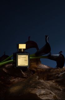 （分類：）位於 。 由 rocketscent 提交（商品編號 1377529411，圖片 1）。簡介： 。