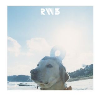 （分類：）位於 。 由 fake.plastic.love 提交（商品編號 1377437314，圖片 1）。簡介： 。