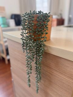 (Category: ) located in . Submitted by felicitystavis (Listing ID 1377398857, Image 1). Description: .