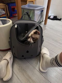 （分類：）位於 。 由 chambertininhk 提交（商品編號 1377492144，圖片 1）。簡介： 。