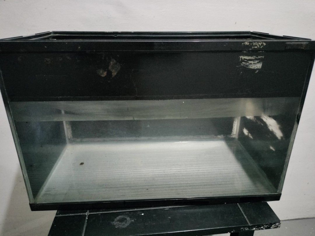 Fish tank - 60x30x36cm (Category: Homes & Other Pet Accessories) located in Singapore. Submitted by geakyeong89652 (Listing ID 1377377051, Image 2). Description: clean and good condition pickup at Serangoon mrt station or my blk near serangoon mrt station.
