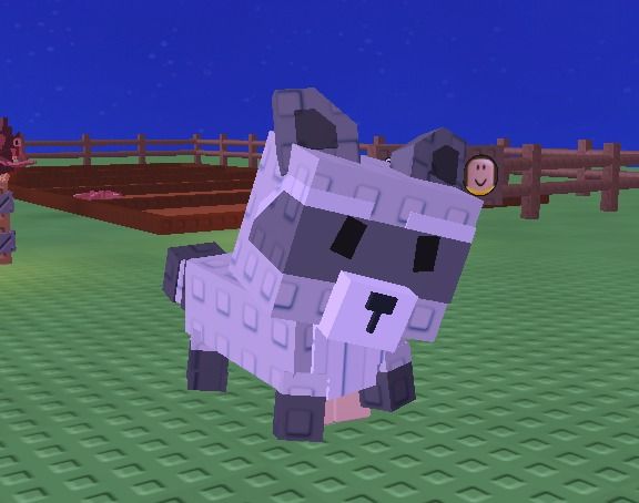 How to Get the Raccoon Pet in Grow a Garden Roblox (2025 Guide