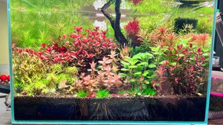 (Category: ) located in . Submitted by _chubby_cat_ (Listing ID 1377389669, Image 1). Description: .
