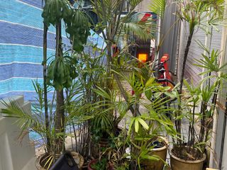 (Category: ) located in . Submitted by the_weaker (Listing ID 1377440558, Image 1). Description: .
