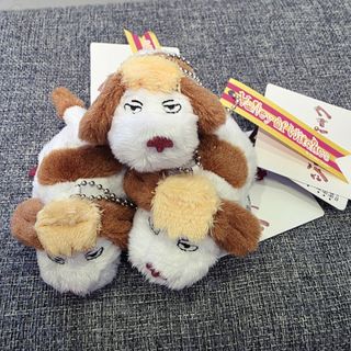 朝隈俊男療癒祈禱系封面款#蛇年行大運, 書籍、休閒與玩具, 玩具