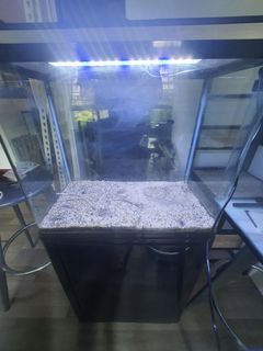 (Category: ) located in . Submitted by fishyed (Listing ID 1377657939, Image 1). Description: .