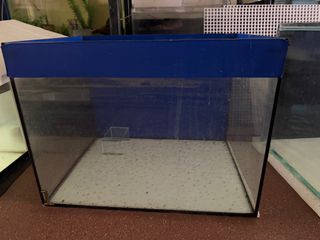 (Category: ) located in . Submitted by alishachew (Listing ID 1377610712, Image 1). Description: .