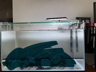 (Category: ) located in . Submitted by bwzzzz (Listing ID 1377726416, Image 1). Description: .