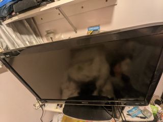 （分類：）位於 。 由 tbx303 提交（商品編號 1377642481，圖片 1）。簡介： 。