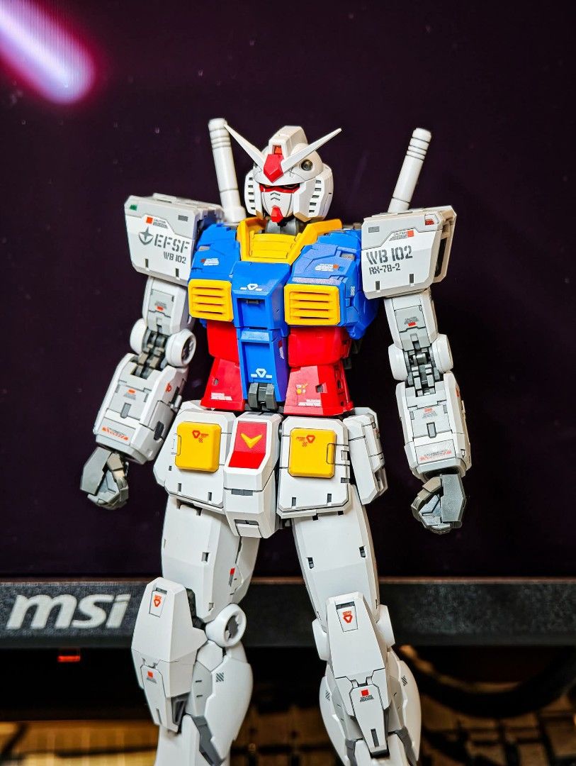 RG拡大版 1/100 RX-78 ガンダム FAT CAT 全塗装完成品 ①