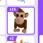 (Category: ) located in . Submitted by raisydaisyy (Listing ID 1377739419, Image 1). Description: .