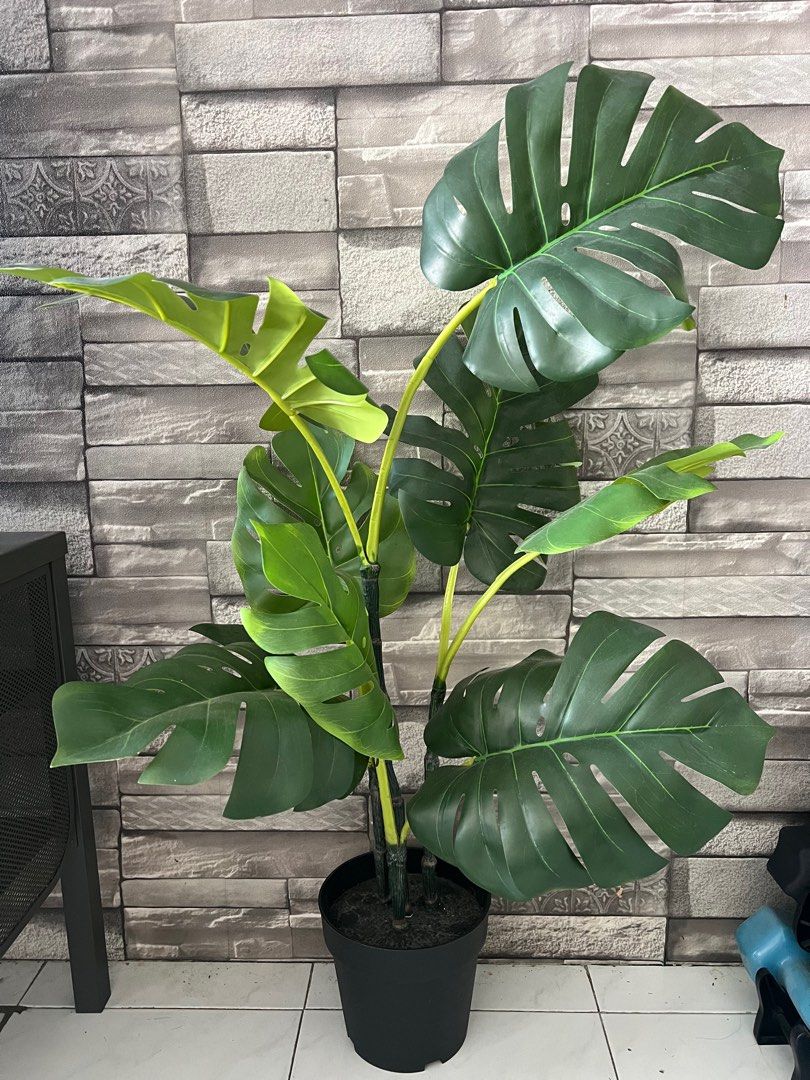 artificial Monstera plant from IKEA's FEJKA, Furniture & Home Living, Home  Decor, Artificial Plants & Flowers on Carousell