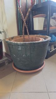 (Category: ) located in . Submitted by anuajeet27 (Listing ID 1377709459, Image 1). Description: .