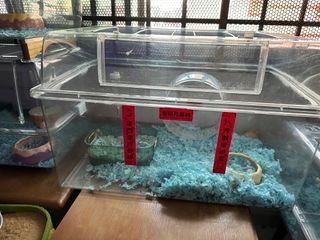 (Category: ) located in . Submitted by krischong97 (Listing ID 1377661590, Image 1). Description: .